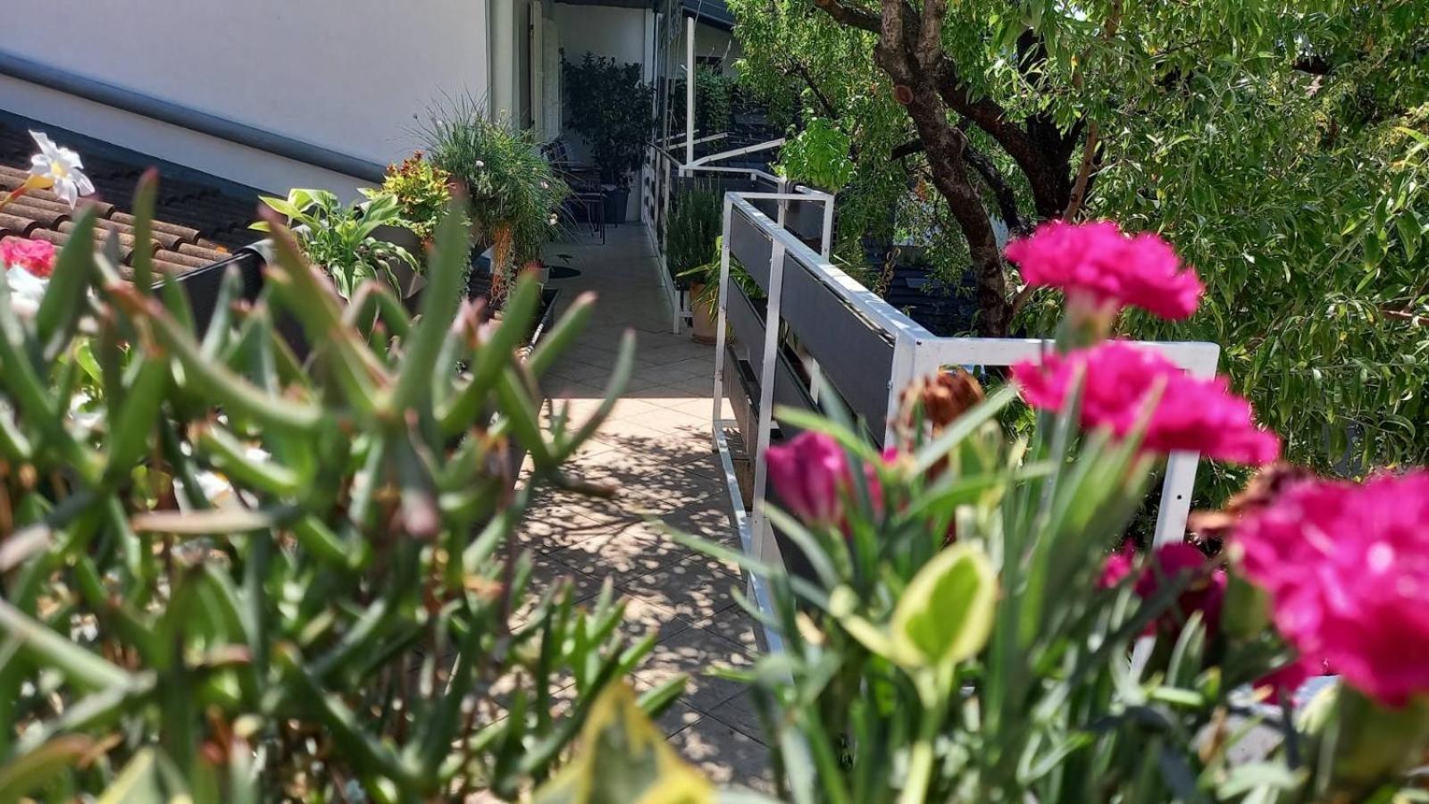 Felix Apartment Biograd Biograd Na Moru Exteriér fotografie